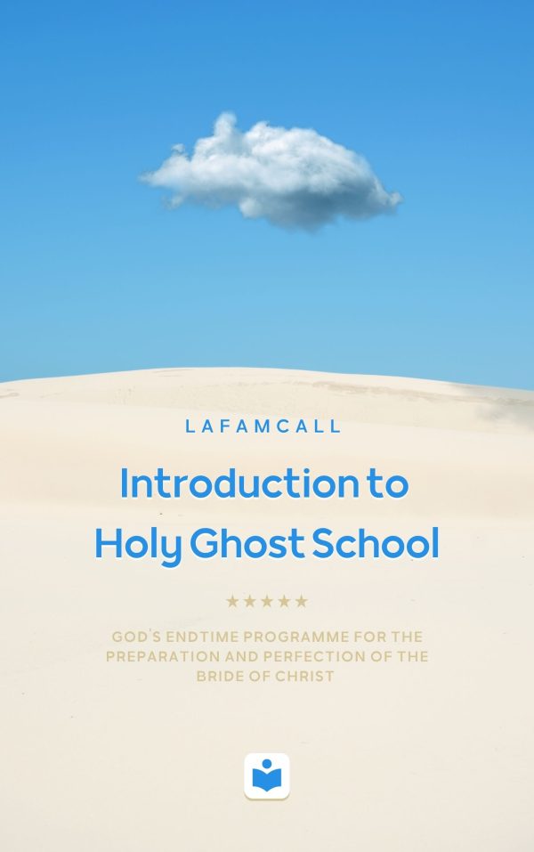 Introduction to Holy Ghost School - TechyK